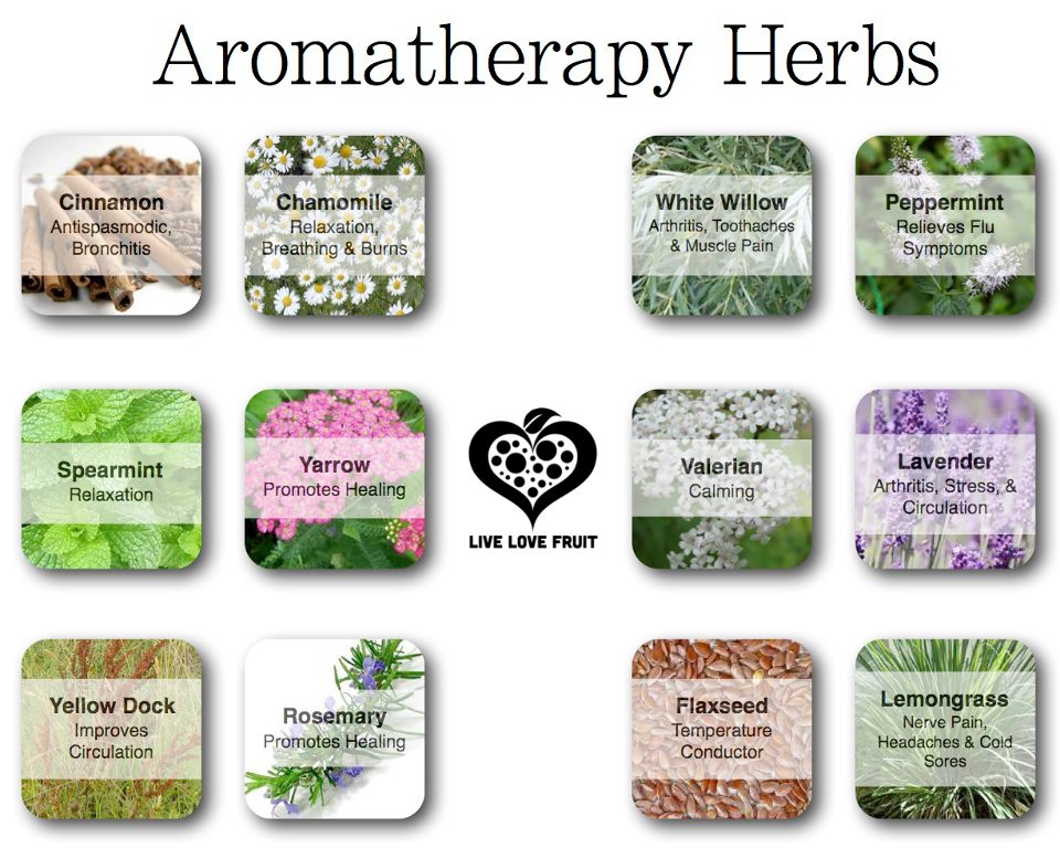 Aromatherapy Herbs